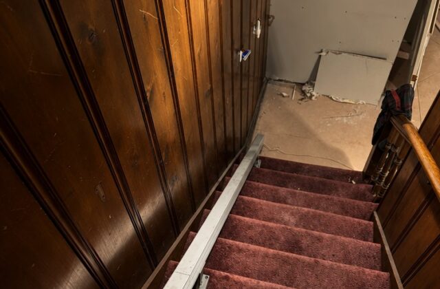 Handicare stairlift rail down pink carpeted stairs beside dark wood panelling
